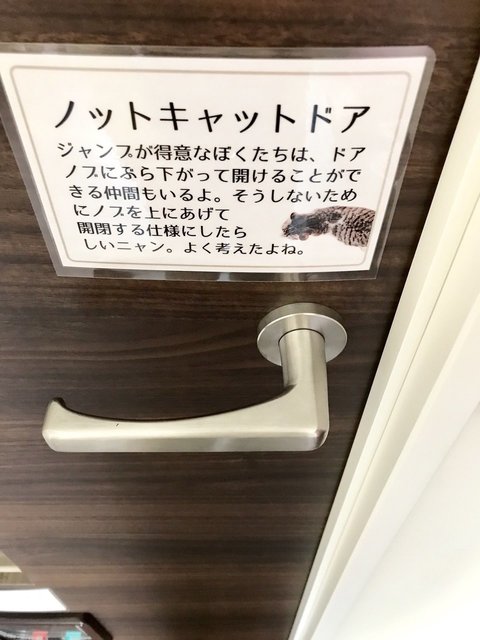 イフ キャット藤崎2号室 福岡県福岡市早良区 藤崎 1k 福岡のリノベーション デザイナーズ賃貸ならグッドルーム Goodroom