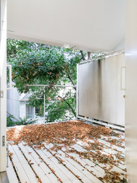 羽根木の森-/東京都世田谷区/新代田/2LDK | 東京、神奈川、千葉、埼玉