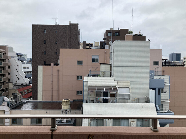 ベルレージュ亀戸-/東京都江東区/亀戸/1K | 東京、神奈川、千葉