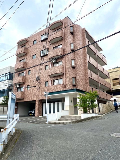 白のアネモネに寄せて 3