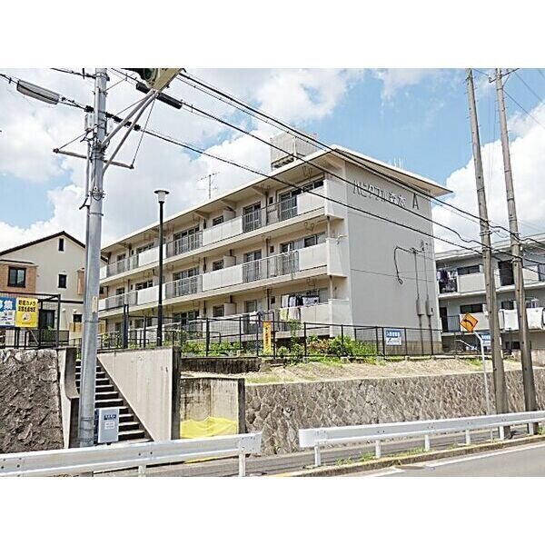 和室の緑と、暮らしを編む 3
