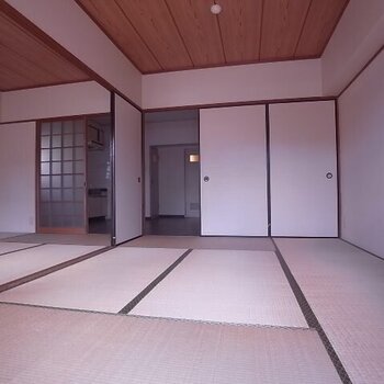ハイネス白金