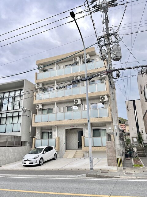 浅瀬を泳ぐ淡水魚 3
