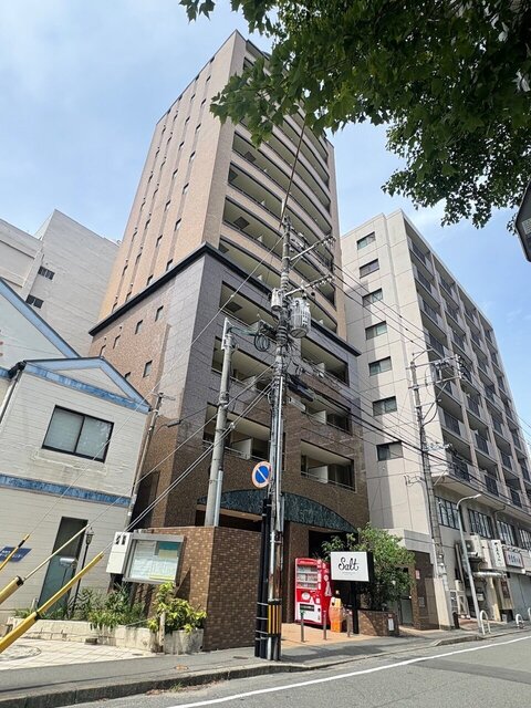 Camo & Seek 3