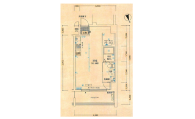 アドバンス心斎橋ネクスチャー(アドバンス心斎橋NEXTURE)の間取り