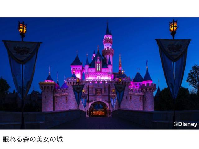 ディズニー画像ランド 元のアメリカ ディズニー ツアー 格安