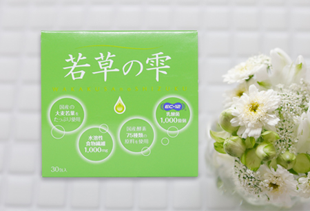 駿楽 30粒 元気堂