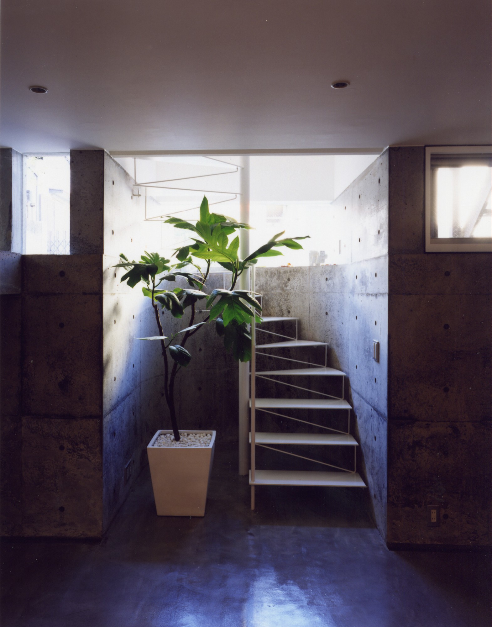 半地下の居室 写真 専門家プロファイル