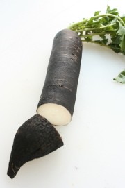 黒い大根の中身 写真 専門家プロファイル