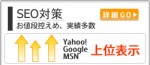 ホームページ(SEO対策)診断