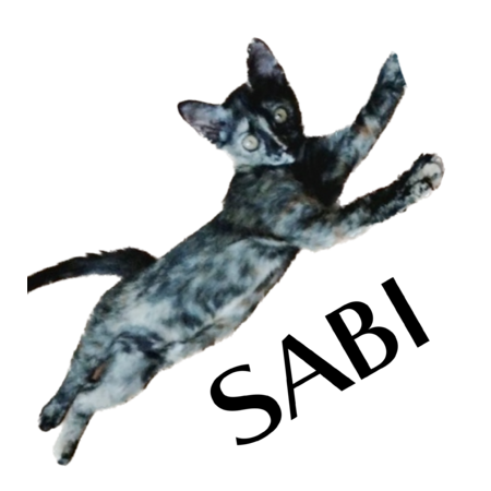 4eef89ef ccec 4f88 9e71 ee917752b178 s