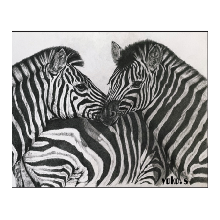 C68a21c2 f4c7 4764 b74a c4ed072dd9b9 s