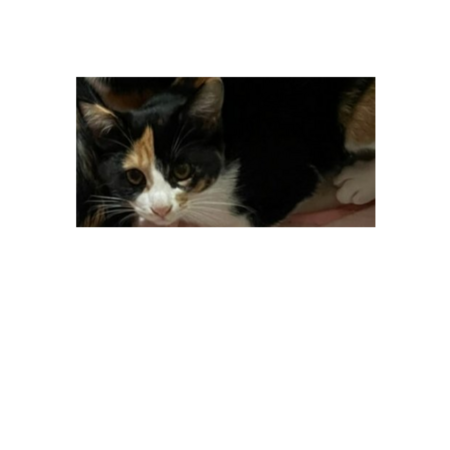 40e6bbda be83 4d2f 9a51 d475906752a4 s