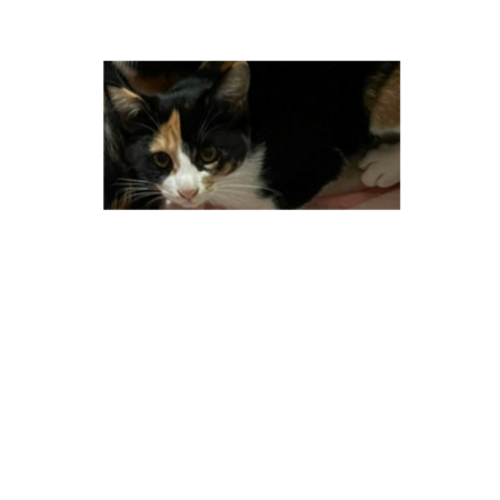 7d9891d6 f18f 4891 bf5c fa31ea434858 s