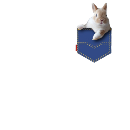 29330a5c 5b24 42eb 8a49 345fda0f30e8 s