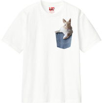 5856821a 190a 4991 941c e80dac27c425 110 print s