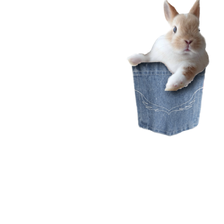 5856821a 190a 4991 941c e80dac27c425 s