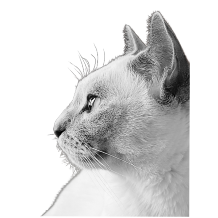 A1c9960e 5cc2 4609 bdb4 5e0593163cac s