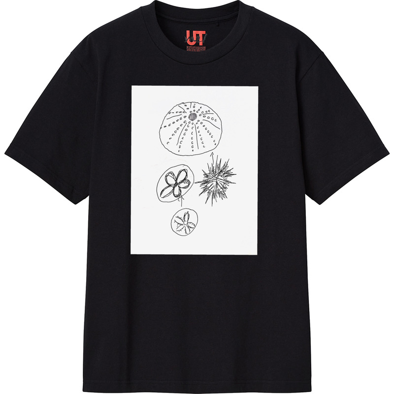 71917b55 4e9c 4efc bf80 b0feae230c26 111 print ll