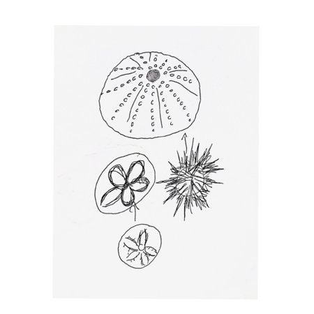 71917b55 4e9c 4efc bf80 b0feae230c26 s