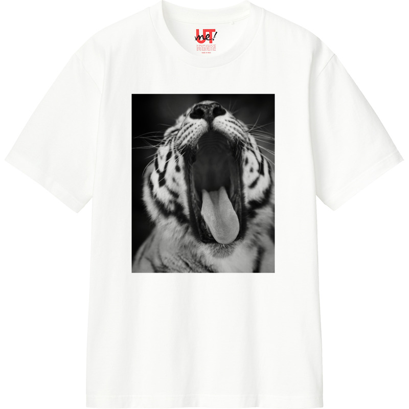 309b01d6 4e3d 42a7 9ca8 0525eaafa097 110 print ll