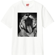 309b01d6 4e3d 42a7 9ca8 0525eaafa097 110 print s