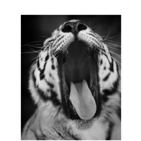 309b01d6 4e3d 42a7 9ca8 0525eaafa097 s