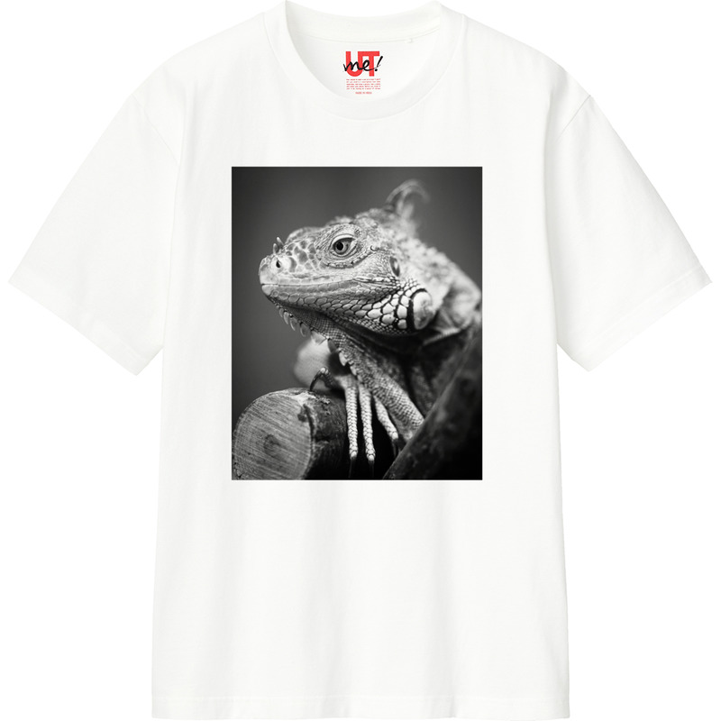 1aa54f2c b58d 40e9 b5fa 27648c5bac6f 110 print ll