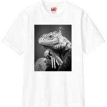 1aa54f2c b58d 40e9 b5fa 27648c5bac6f 110 print s