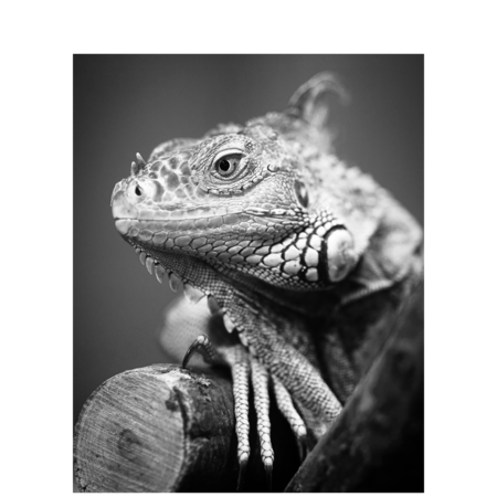 1aa54f2c b58d 40e9 b5fa 27648c5bac6f s