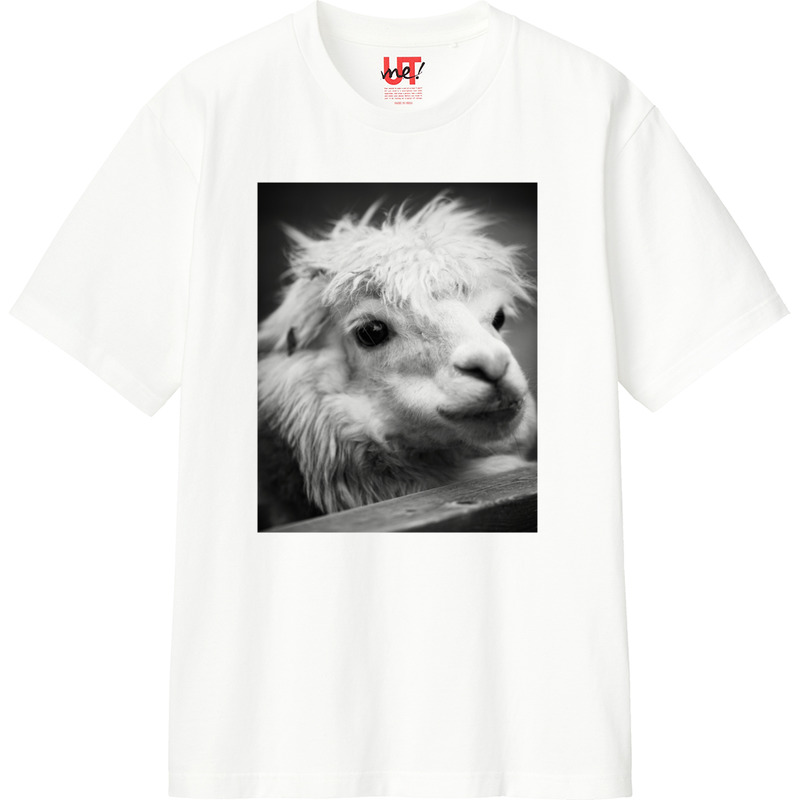 08d80a92 cb0f 490b a08f 065d7a1cc19f 110 print ll