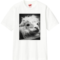 08d80a92 cb0f 490b a08f 065d7a1cc19f 110 print s