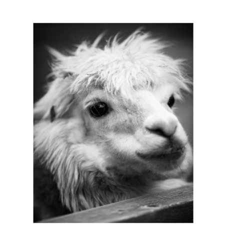 08d80a92 cb0f 490b a08f 065d7a1cc19f s