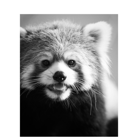 6f613345 2928 47bf 88f7 aea58e457bef s