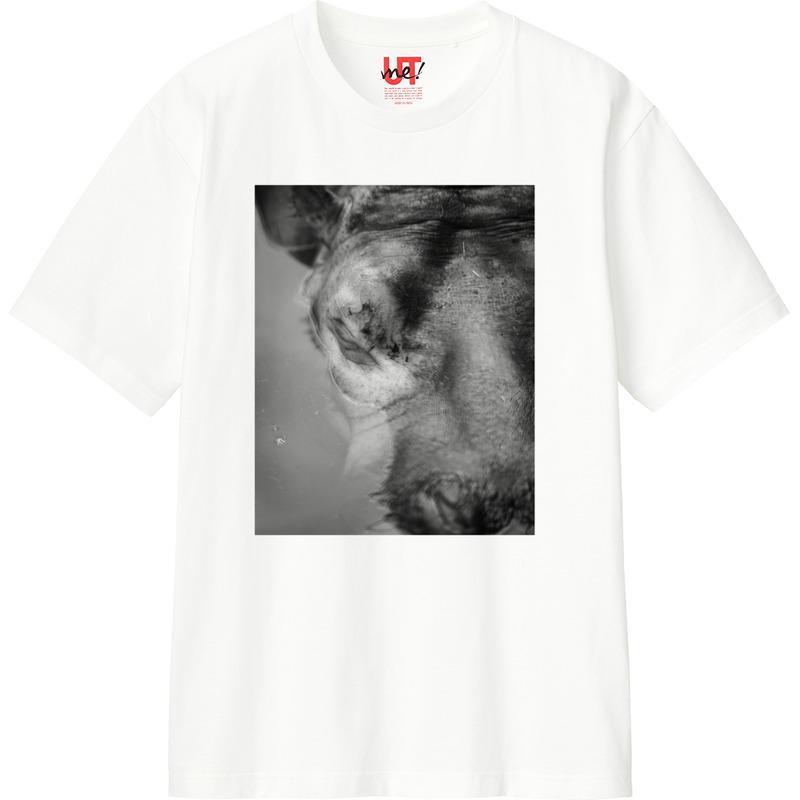 99038e86 8967 4427 bdc1 4e5704b46bb2 110 print ll