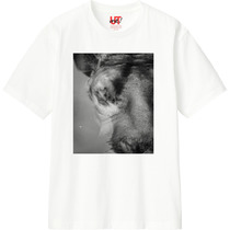 99038e86 8967 4427 bdc1 4e5704b46bb2 110 print s