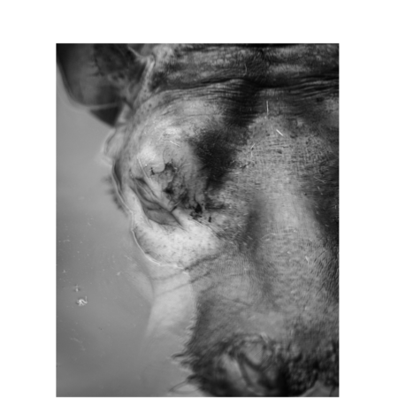 99038e86 8967 4427 bdc1 4e5704b46bb2 s