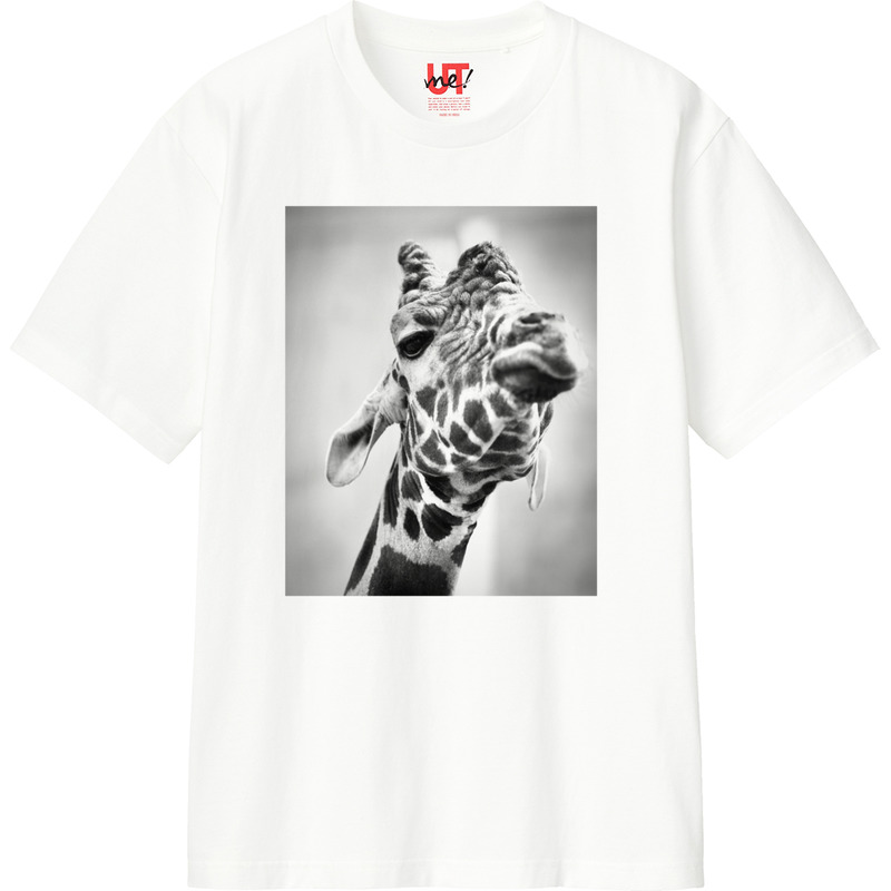 431c2a03 a9e1 4e06 bd58 9c3674119693 110 print ll