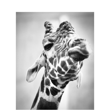 431c2a03 a9e1 4e06 bd58 9c3674119693 s