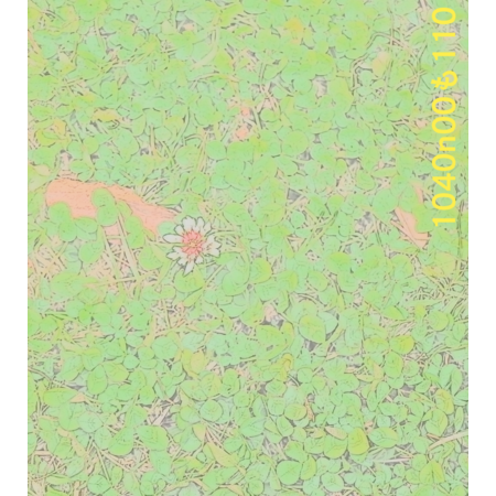 B84b6a40 f83e 4259 a46f 2345aeb09135 s