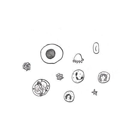 Ecf9d378 c6f2 4acd b2f4 693c69af8cb9 s