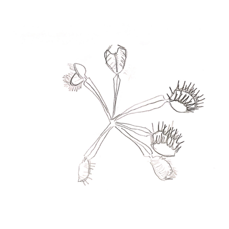 978b1f3e b8fd 4681 8427 0f1ebe3da5a1 s