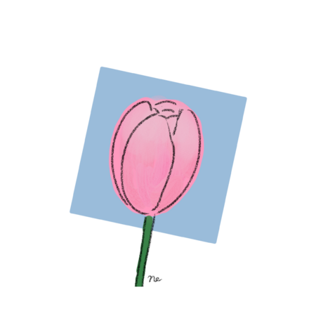 7c677f5c afde 4cf8 a36c a48f90ff07dc s