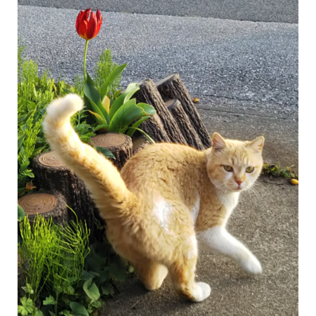 A49171b8 3c93 45d3 b060 07129272060e s