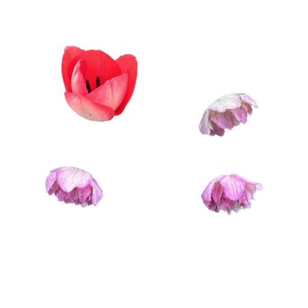 33724c93 98e3 4a5d bff0 3e3763dd1df3 s