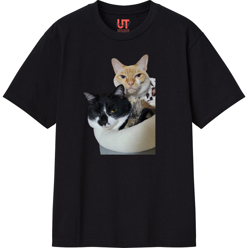 7cb33cbc e079 4576 8ed9 c9c44aa7d6eb 111 print ll