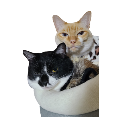 7cb33cbc e079 4576 8ed9 c9c44aa7d6eb s