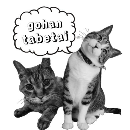 5ce1b0e0 14f3 4a51 851e 6f67d40aa22c s