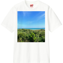 6d10ae9f 2c36 40eb a18b d7d015a3ae89 110 print s