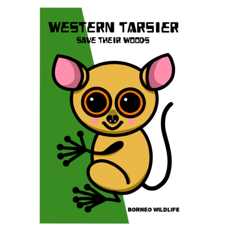 9257dc2c 2822 4ed2 8992 d7bf3ac498c6 s